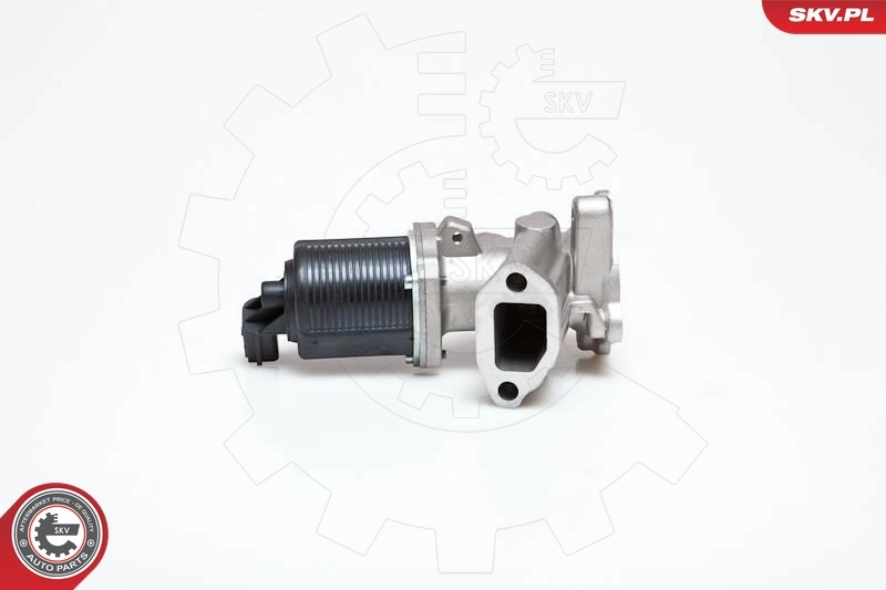 Клапан EGR Fiat/Alfa/Lancia 71793037 ціна, від 56.86 USD