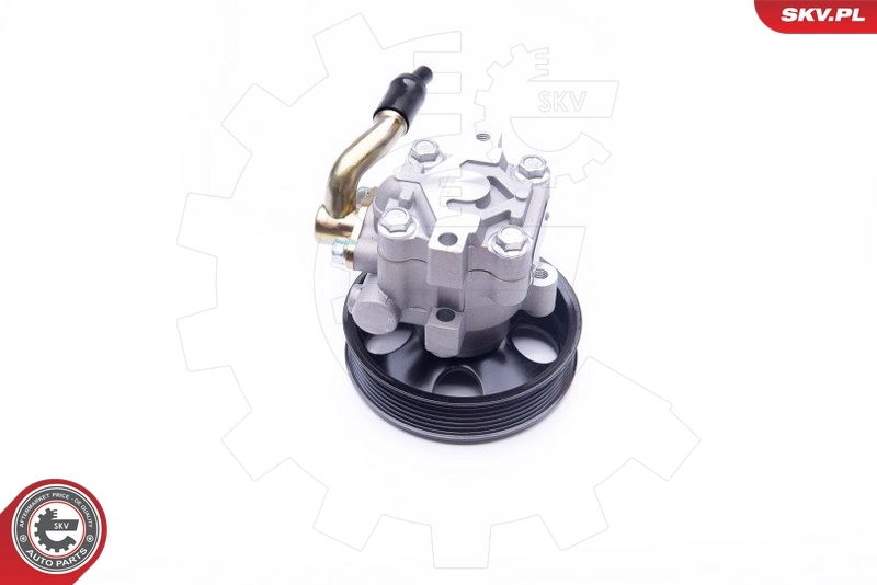 Насос ГУР 10SKV263 SKV