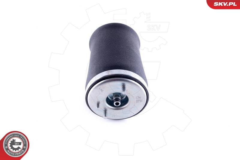 Пневморессора задня SKV 58SKV004 ціна, від 68.35 USD
