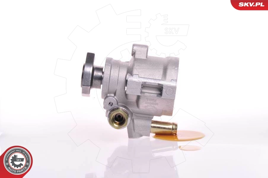 Купити 10SKV147 SKV Насос гідравліки