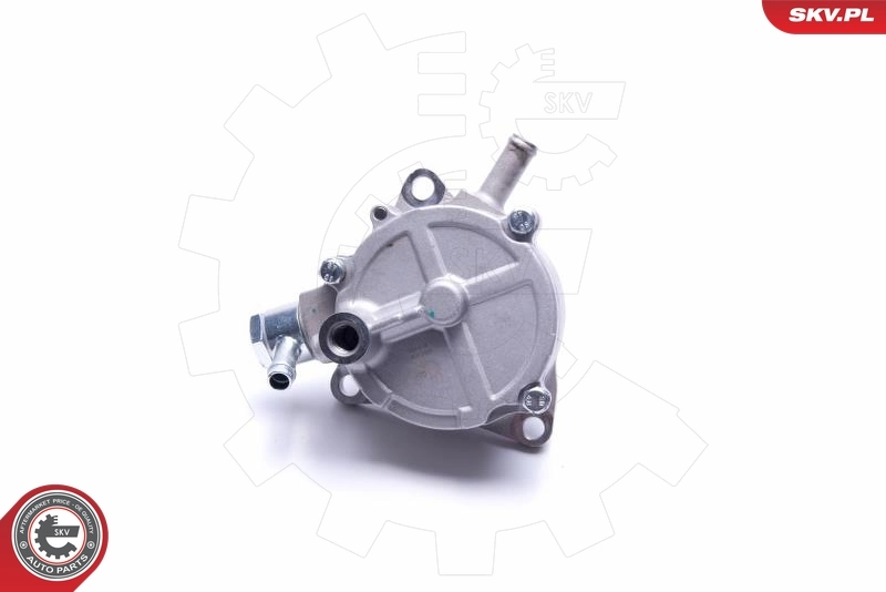 Купити 18SKV025 SKV Вакуумний насос