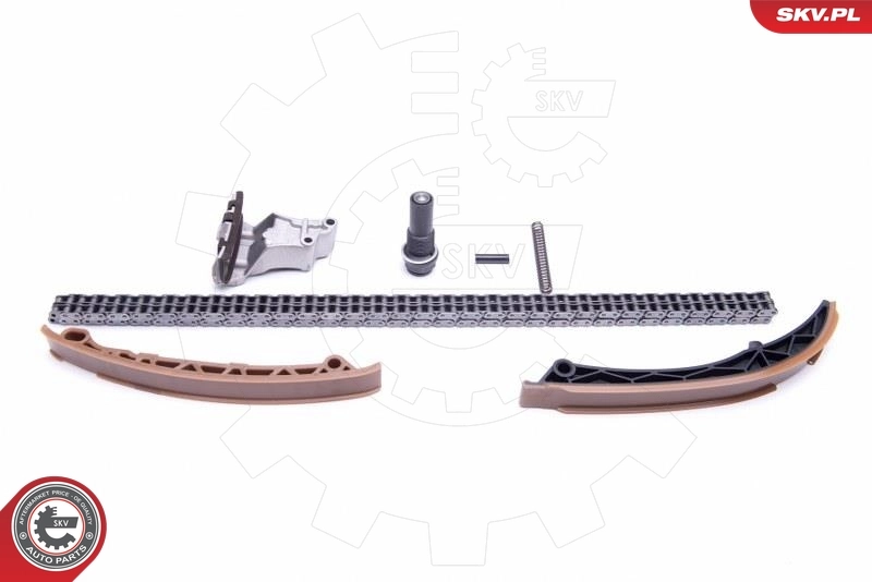 21SKV129 SKV Ланцюг ГРМ, комплект