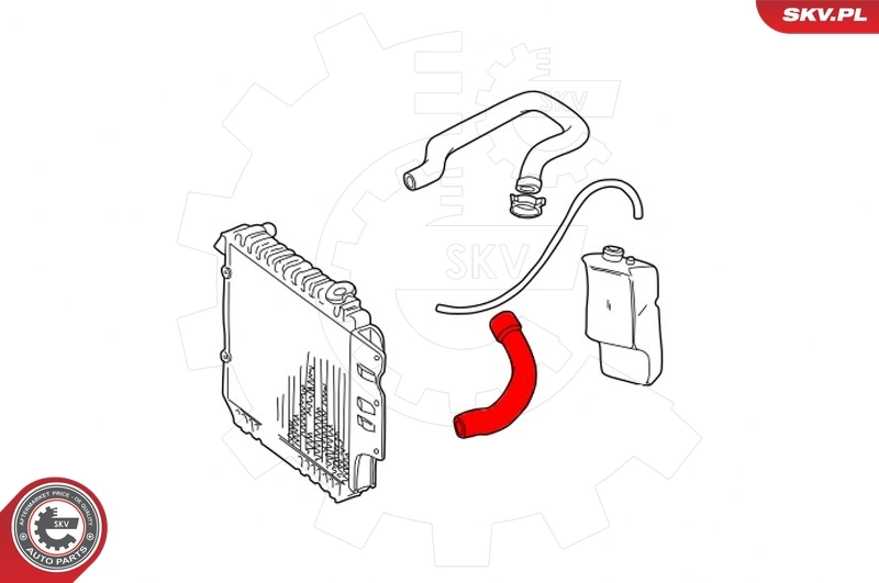Купити 43SKV615 SKV Шланг/патрубок радіатора охолодження, нижній