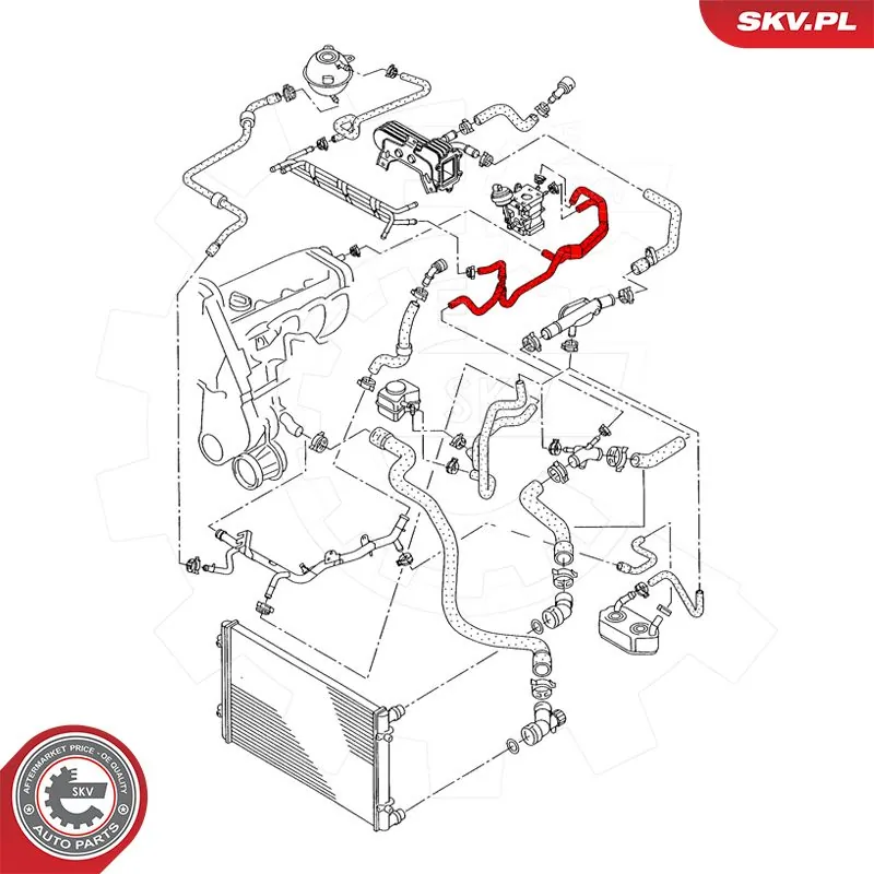 Купити 43SKV607 SKV Трубопроводи і шланги системи охолодження