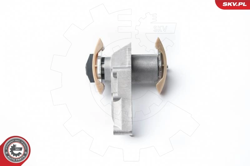 Ланцюг ГРМ, комплект SKV 21SKV010 ціна, від 93.92 USD