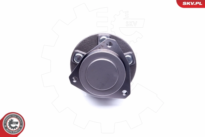 Купити 29SKV261 SKV Маточини передніх коліс