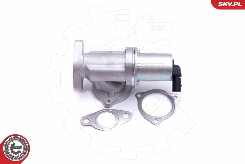 14SKV209 SKV Клапан рециркуляції відпрацьованих газів EGR