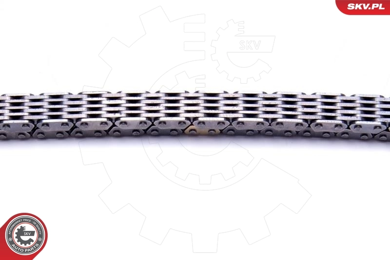 Ланцюг ГРМ, комплект SKV 21SKV194 ціна, від 114.41 USD