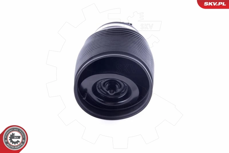 Пневморессора задня SKV 58SKV010 ціна, від 113.01 USD