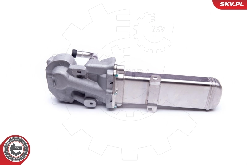 Клапан EGR SKV 14SKV137 ціна, від 115.00 USD