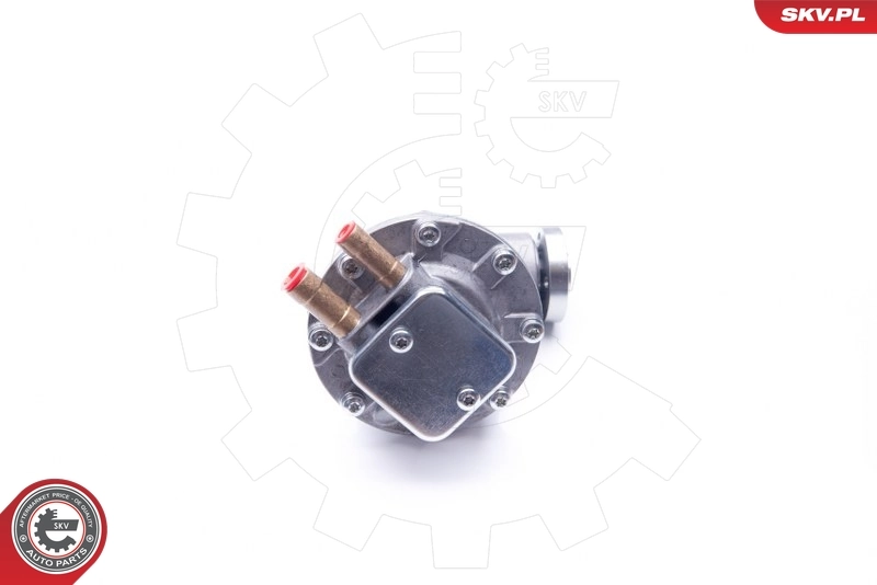 Купити 456513 Peugeot/Citroen Вакуумний насос