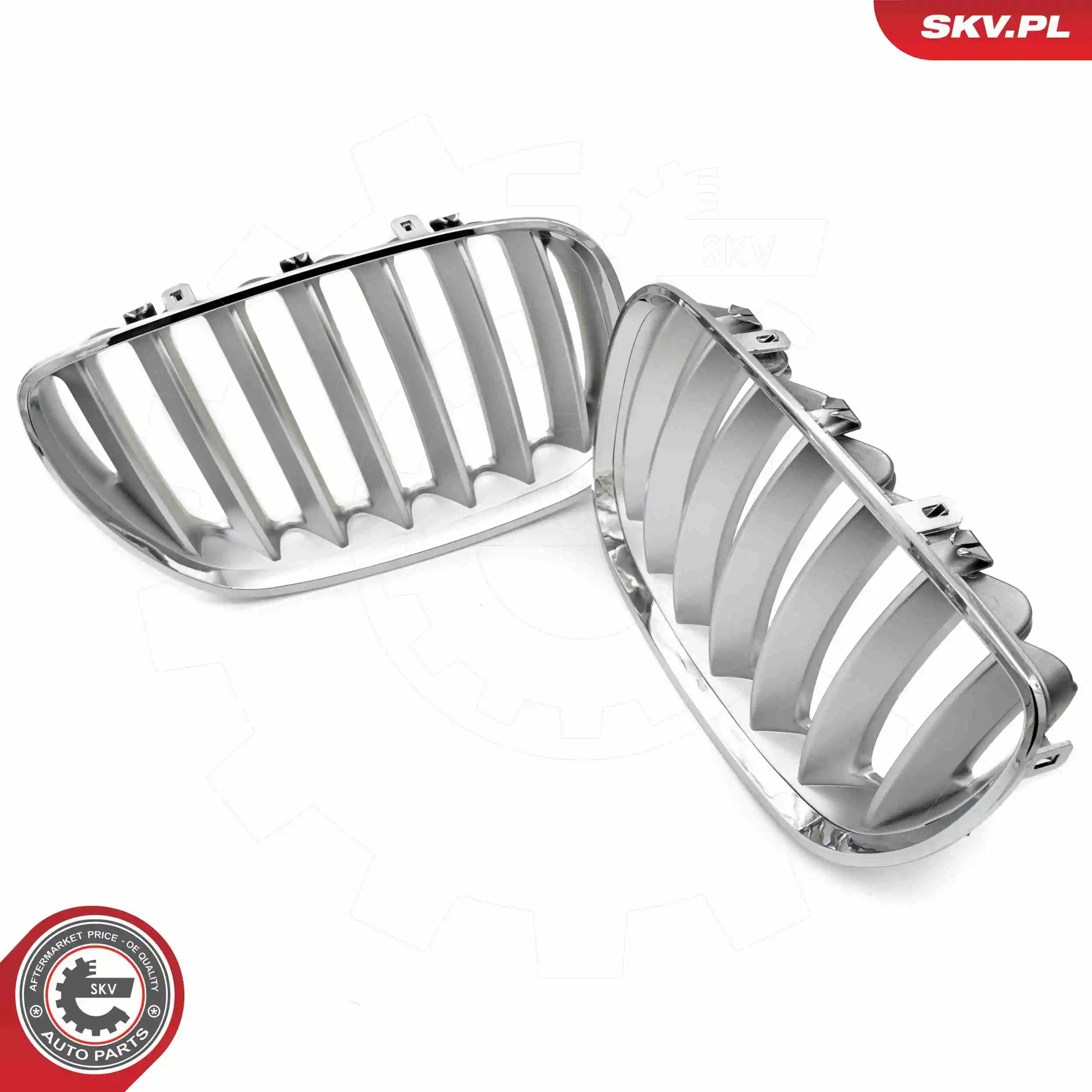 Купити 66SKV279 SKV 