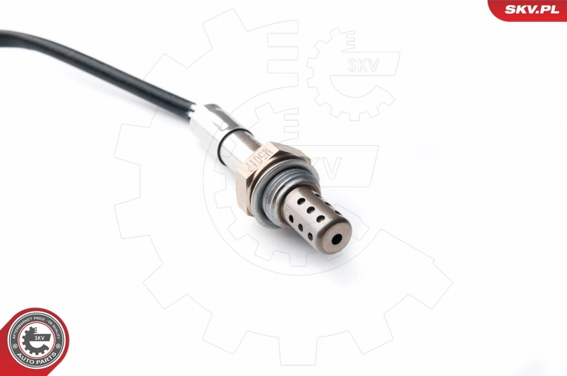 09SKV909 SKV Датчик кисню