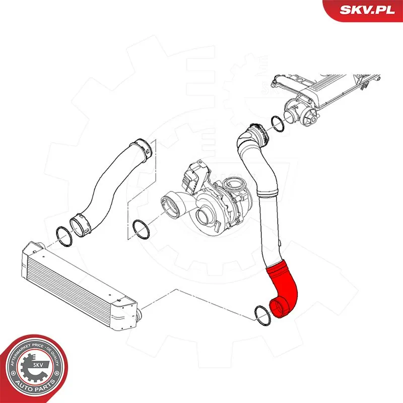 Купити 43SKV484 SKV 