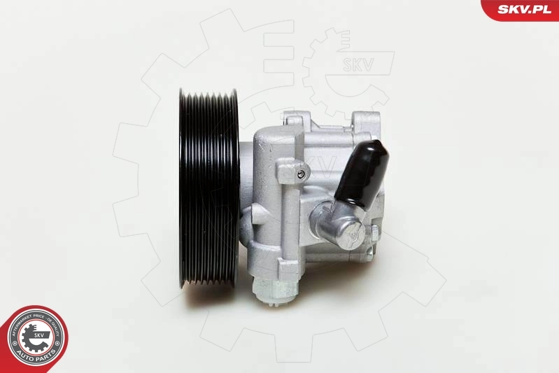 10SKV039 SKV Насос гідропідсилювача