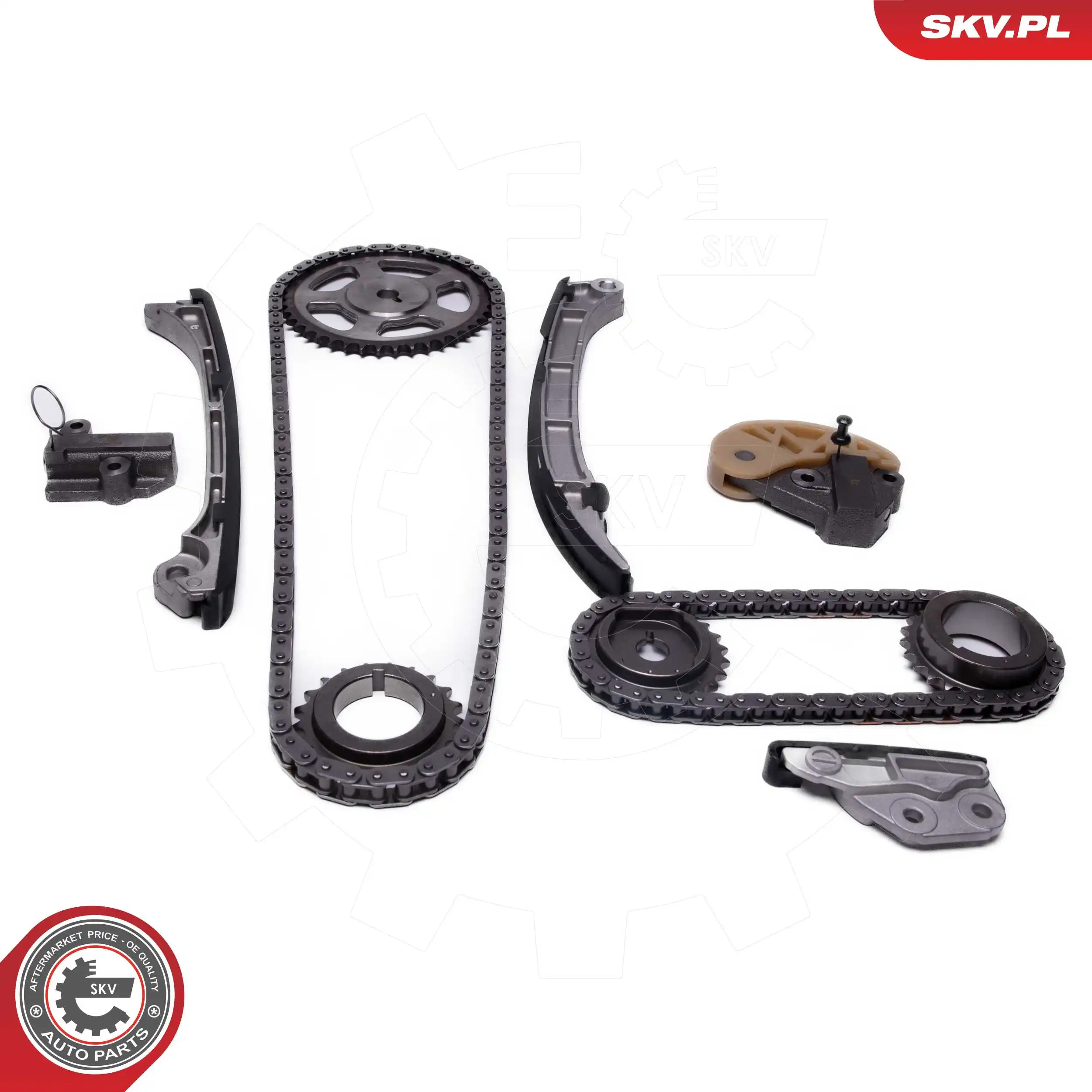 21SKV250 SKV Ланцюг ГРМ, комплект