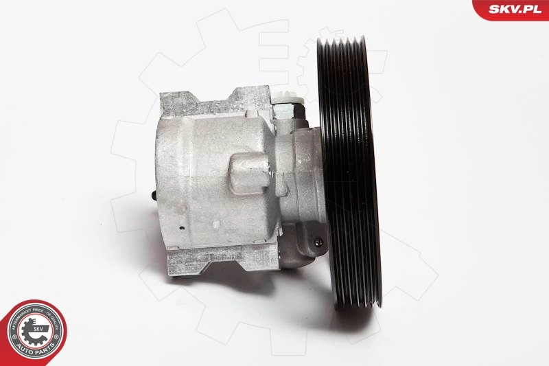 Купити S5065001 Polcar Насос гідравліки