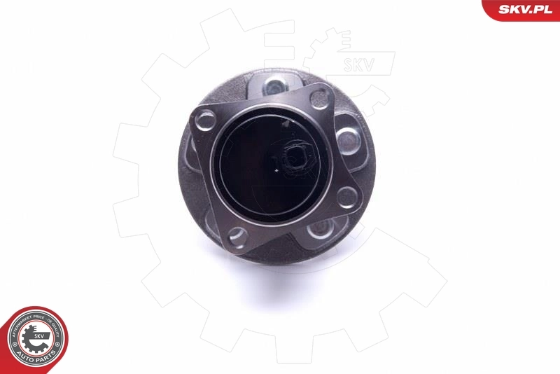 Маточини задніх коліс SKV 29SKV533 ціна, від 62.92 USD