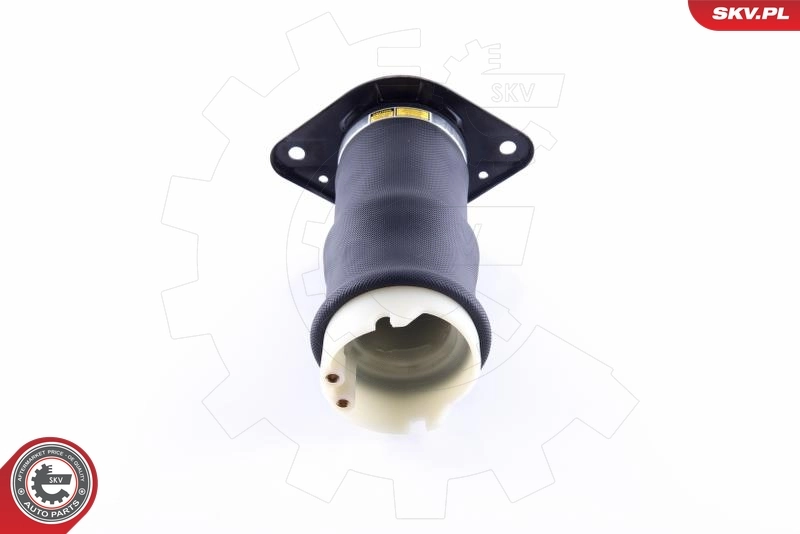 Пневморессора задня SKV 58SKV041 ціна, від 138.32 USD