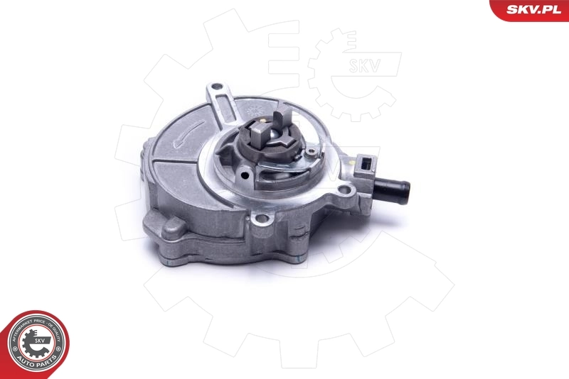 Насос вакуумний Audi A8 D3 седан (4E2, 4E8) (2002 - 2010) ціна, від 12.66 USD