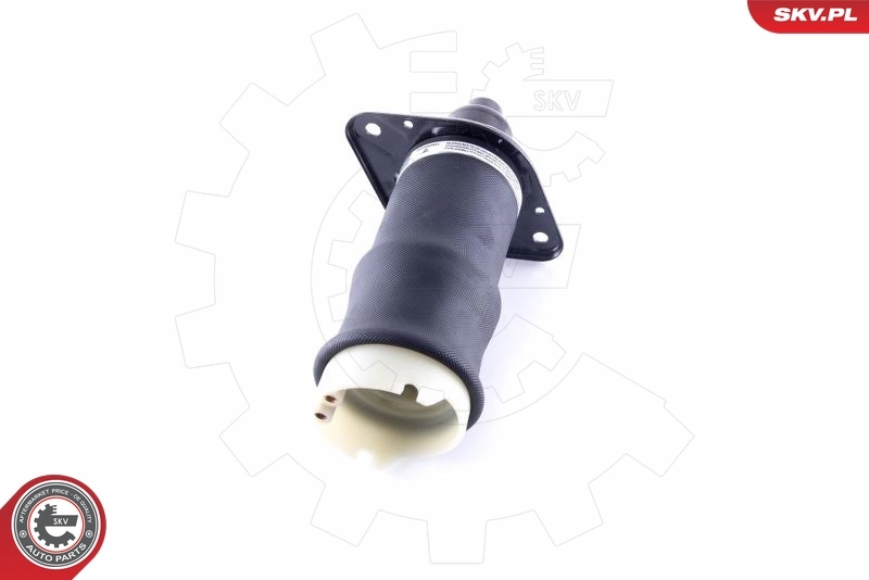 Пневморессора задня SKV 58SKV040 ціна, від 134.42 USD