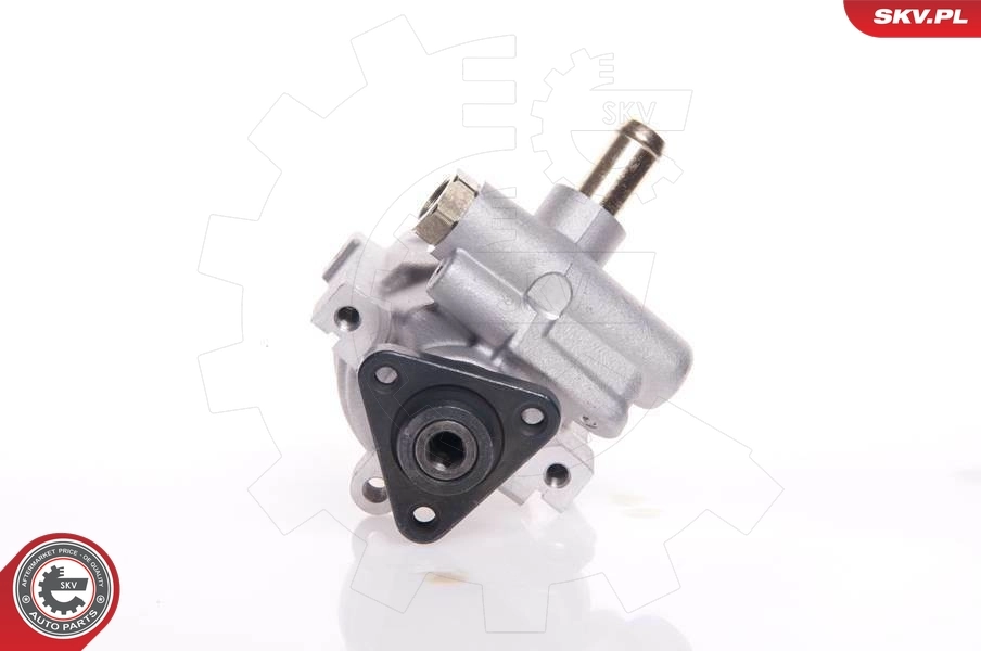 Купити 10SKV007 SKV Насос гідравліки