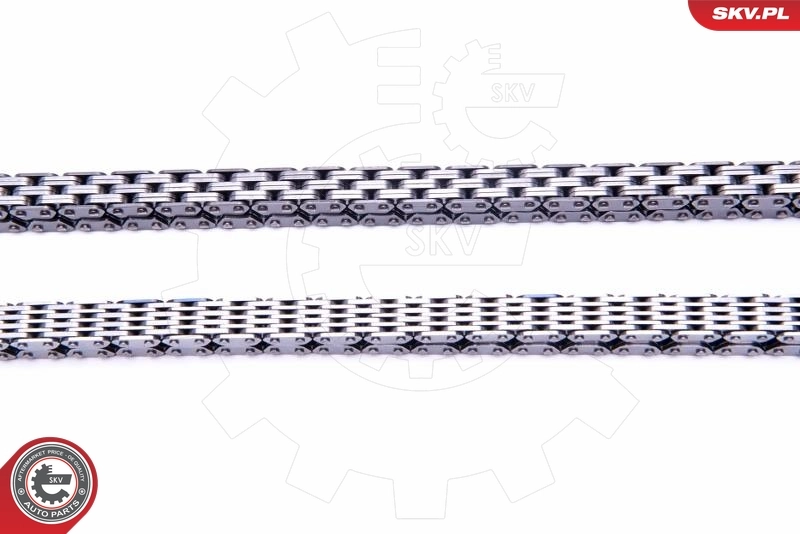 Ланцюг ГРМ, комплект SKV 21SKV161 ціна, від 56.71 USD