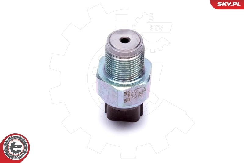 17SKV738 SKV Манометри