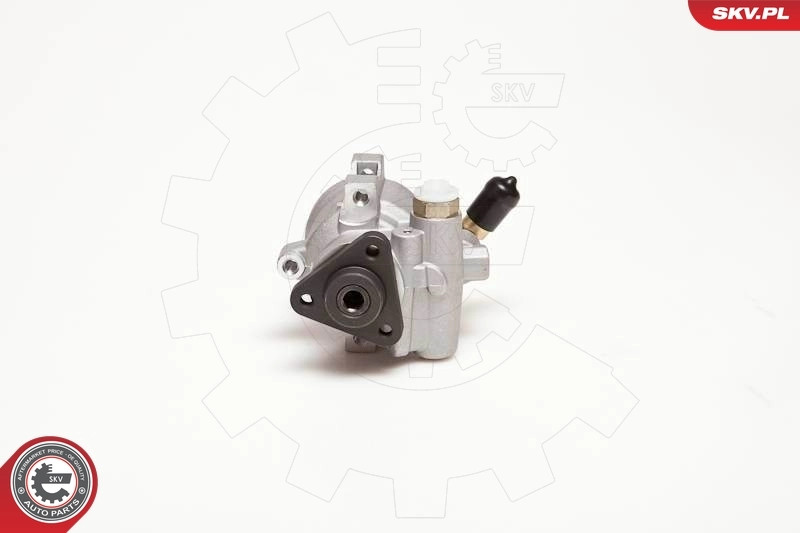 Купити Насос ГУР Ford Sierra I GBC