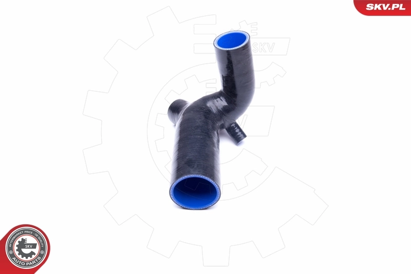  SKV 43SKV032 ціна, від 67.09 USD