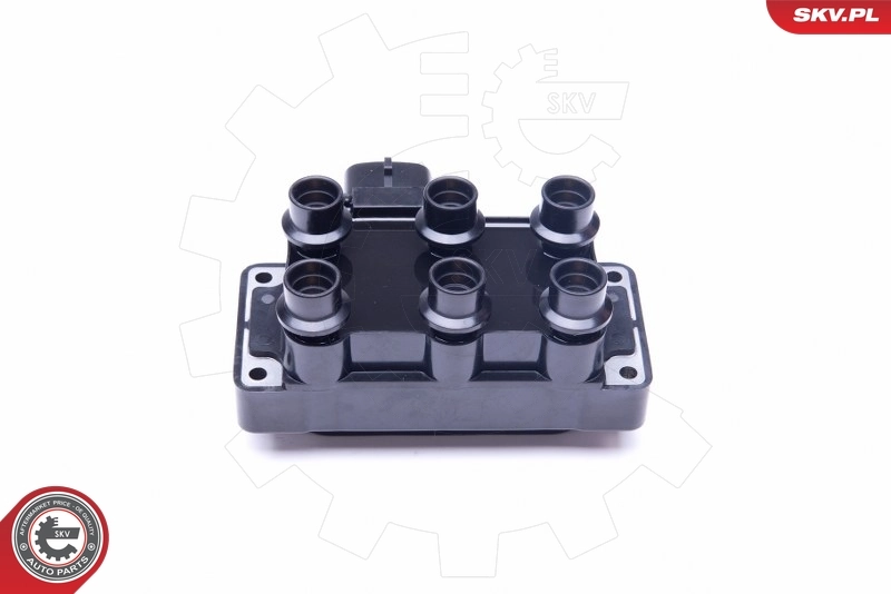 Котушка запалювання SKV 03SKV252 ціна, від 38.97 USD