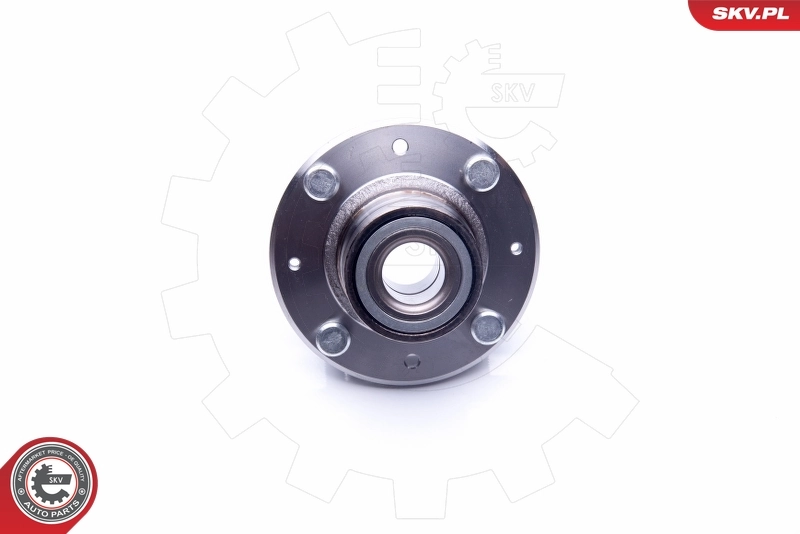 Маточини задніх коліс SKV 29SKV210 ціна, від 32.95 USD