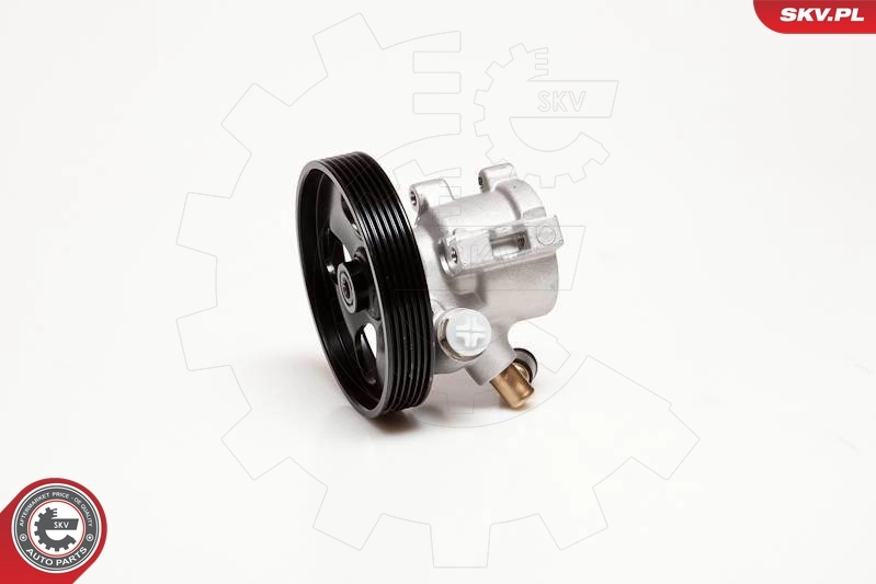 Насос ГУР 863151 Autex