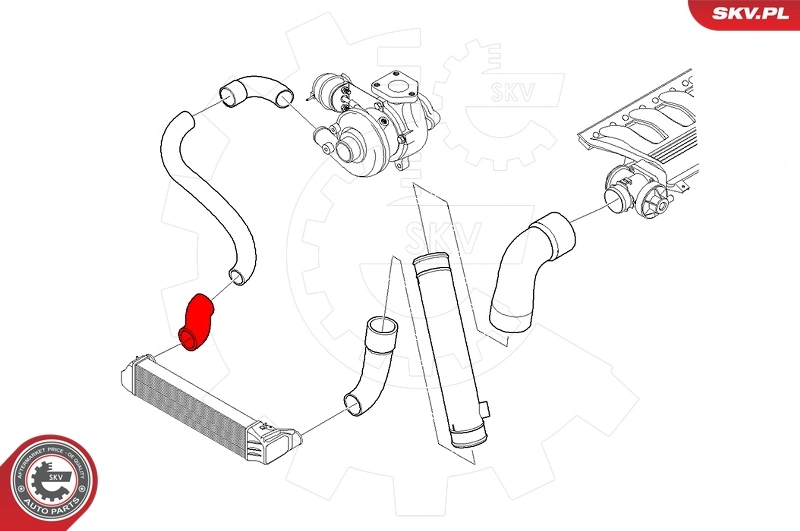 Купити 24SKV530 SKV 