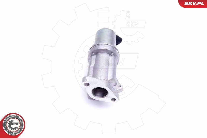 Клапан EGR SKV 14SKV209 ціна, від 47.87 USD