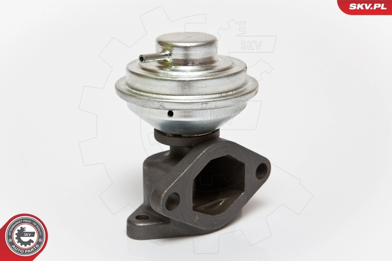 Клапан EGR Magneti Marelli EV107 ціна, від 41.51 USD