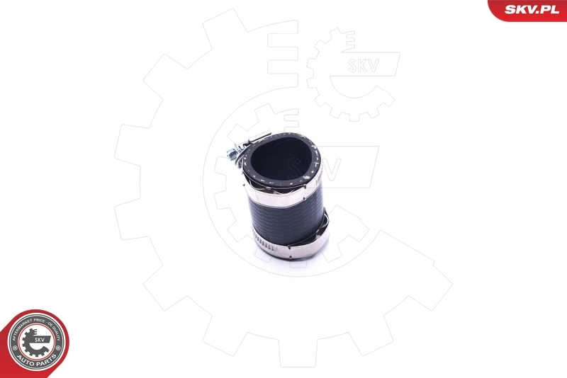  SKV 24SKV860 ціна, від 10.04 USD