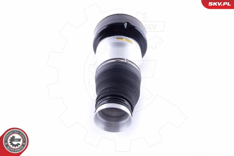 Пневмоподушка/Пневморессора моста переднього SKV 58SKV038 ціна, від 174.29 USD