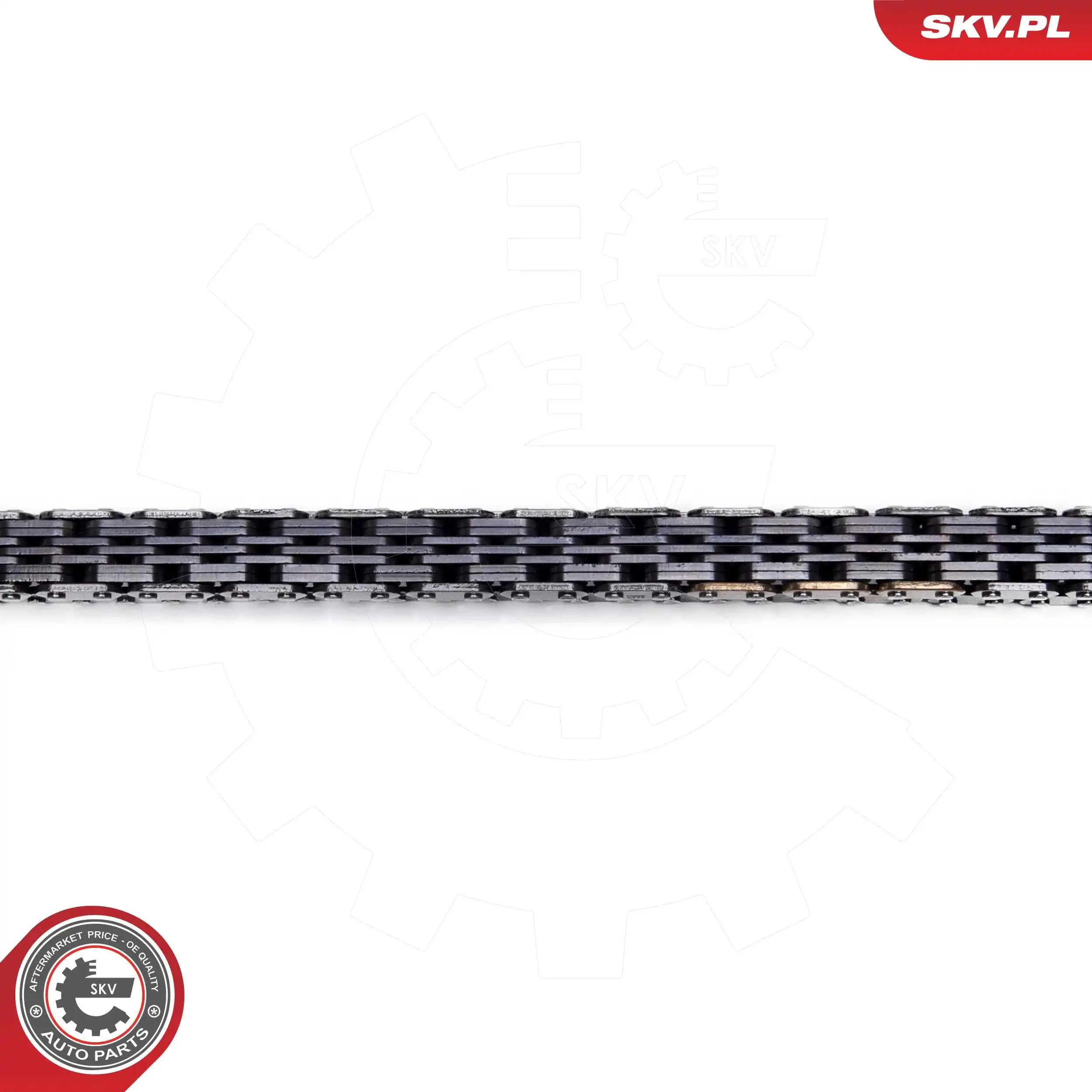 Ланцюг ГРМ, комплект SKV 21SKV270 ціна, від 94.18 USD