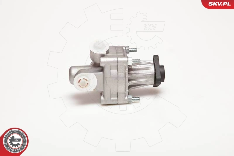 Купити 10SKV005 SKV Насос гідравліки