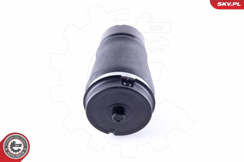 Пневморессора задня SKV 58SKV013 ціна, від 93.12 USD