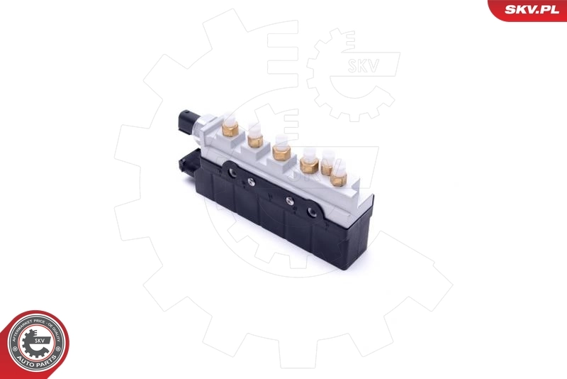  SKV 93SKV810 ціна, від 204.61 USD