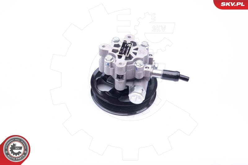 Купити 10SKV265 SKV Насос гідравліки