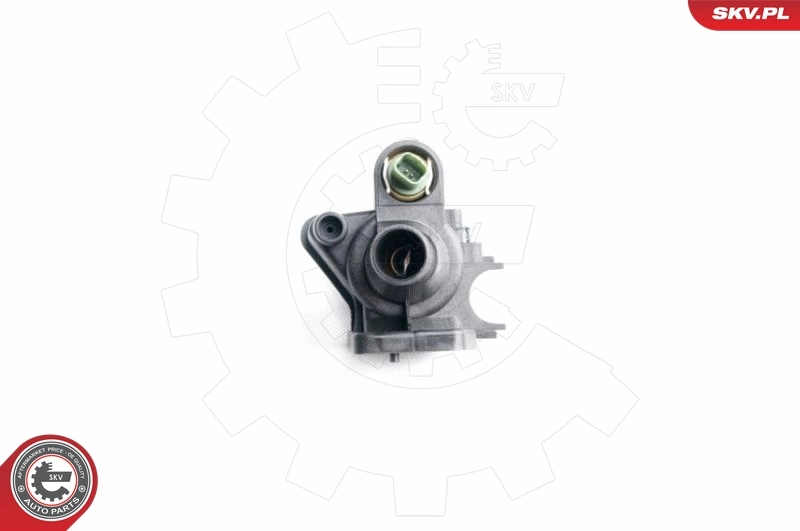 20SKV032 SKV Авто термостат