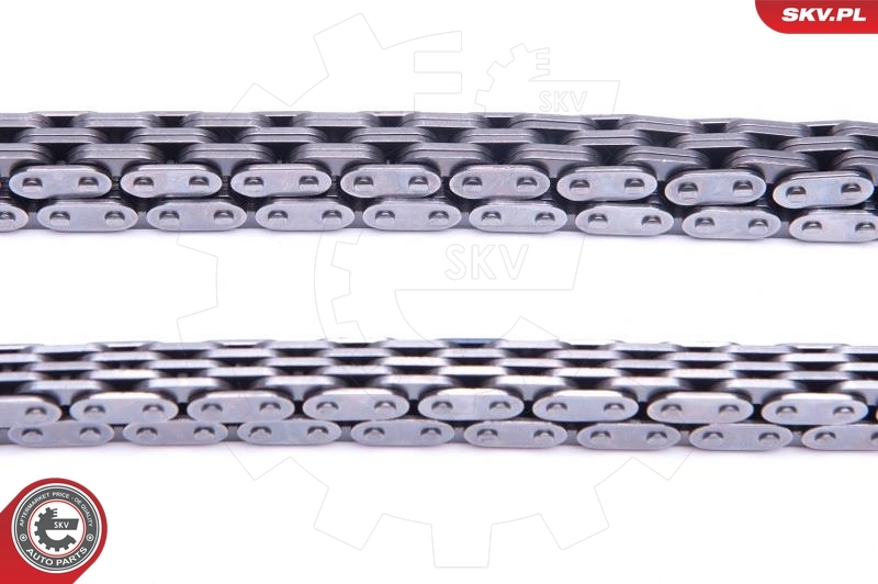 Ланцюг ГРМ, комплект SKV 21SKV231 ціна, від 112.71 USD