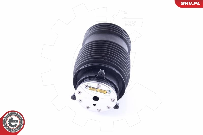 Пневморессора задня SKV 58SKV008 ціна, від 174.51 USD