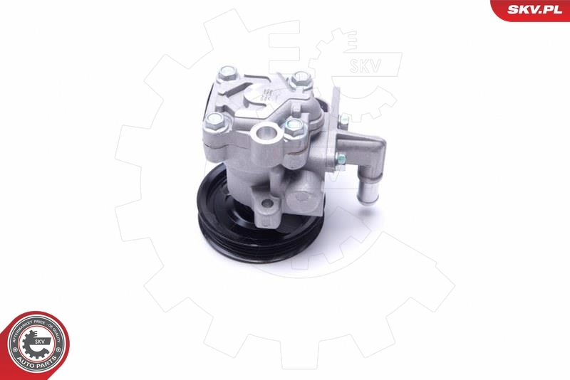 Купити 10SKV300 SKV Насос гідравліки