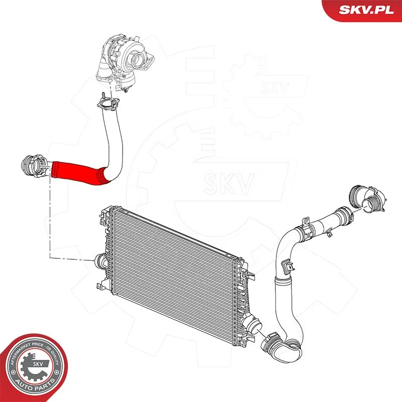 Купити 54SKV069 SKV 