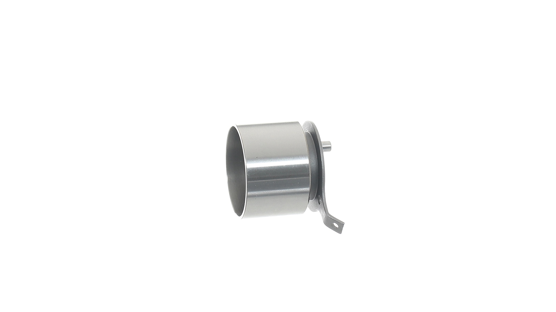 Ролик натягувача ременя ГРМ VKM76102 SKF