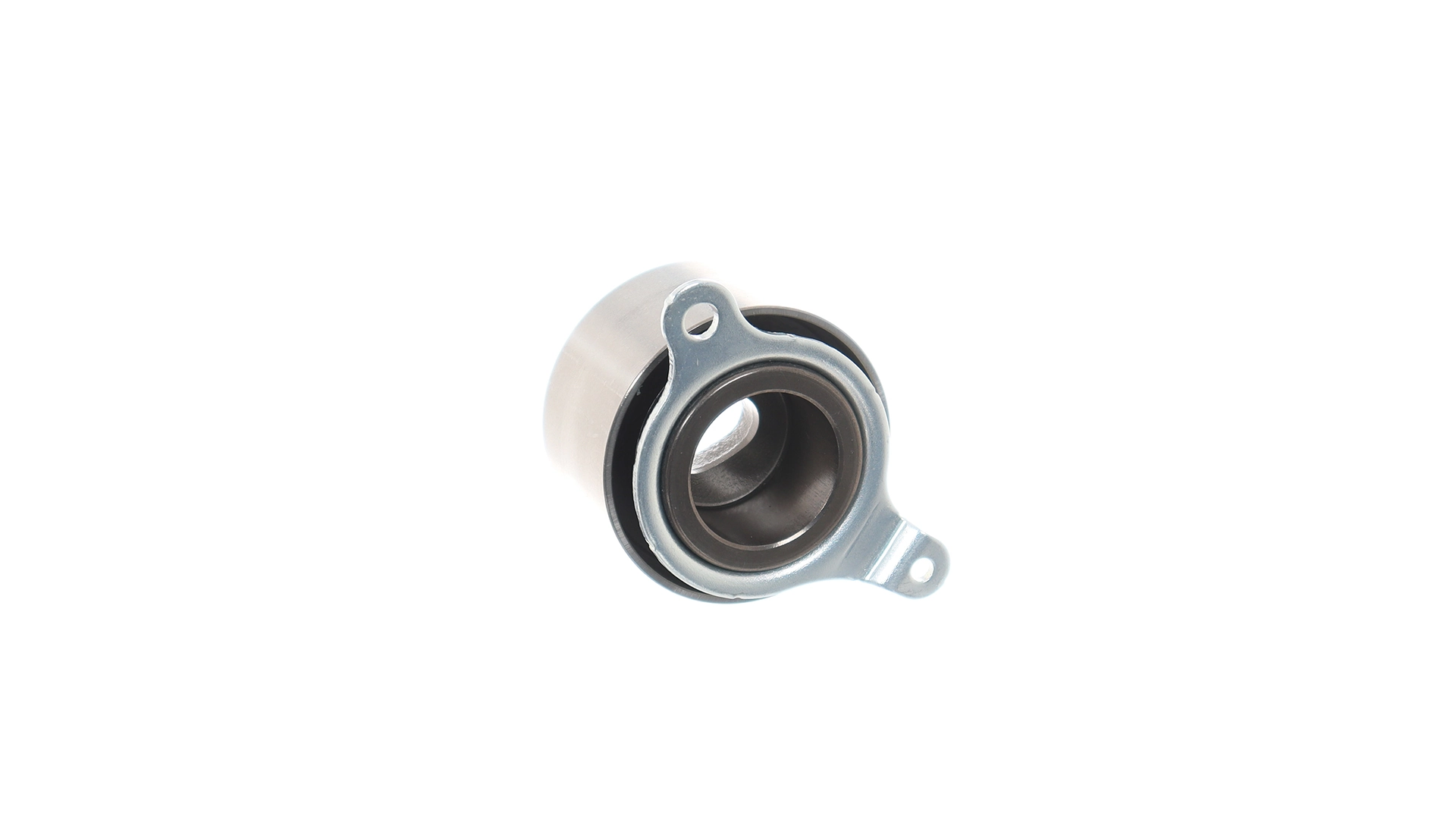 Купити VKM73201 SKF Натяжний ролик